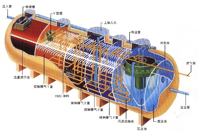 2024澳门开门奖结果