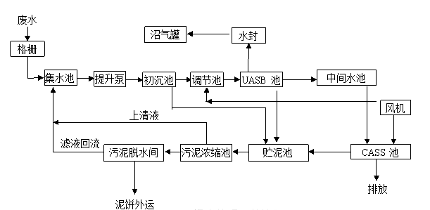 2024澳门开门奖结果