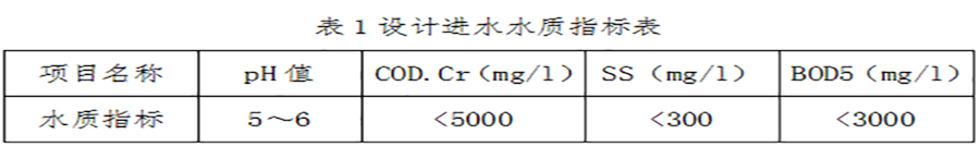 2024澳门开门奖结果