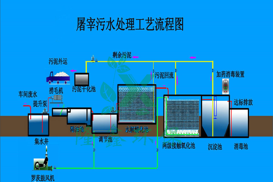 2024澳门开门奖结果