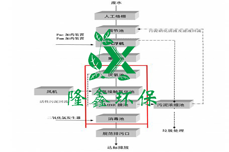 2024澳门开门奖结果